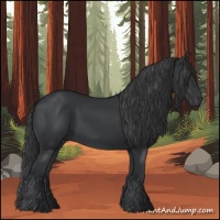 Horse Color:Black 