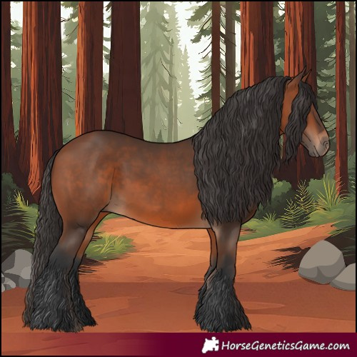 Horse Color:Bay 