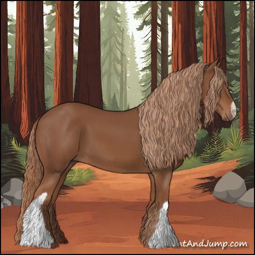 Horse Color:Chestnut 