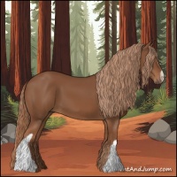 Horse Color:Chestnut 