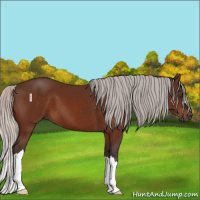 Horse Color:Silver Brown