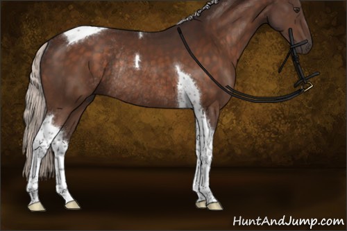 Horse Color:Silver Brown Tobiano Rabicano