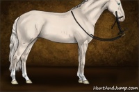 Horse Color:Cremello Sabino Tobiano Rabicano