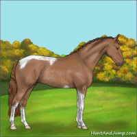 Horse Color:Chestnut Sabino Tobiano Rabicano 