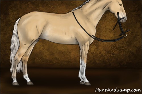 Horse Color:Silver Buckskin Dun Tobiano Rabicano 