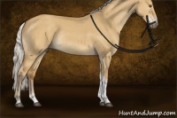 Horse Color:Silver Buckskin Dun Tobiano Rabicano 