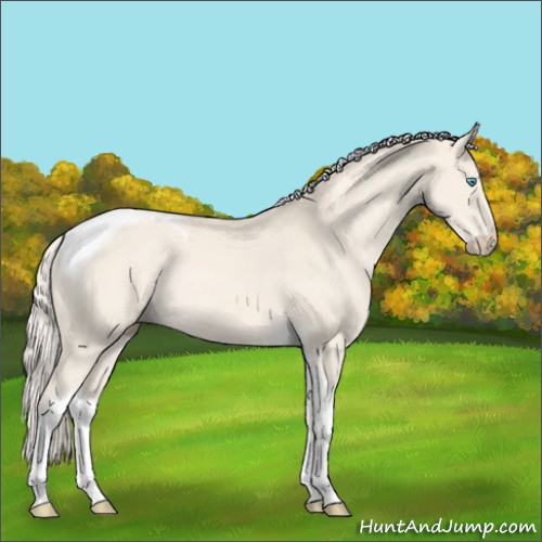 Horse Color:Cremello Tobiano Rabicano 