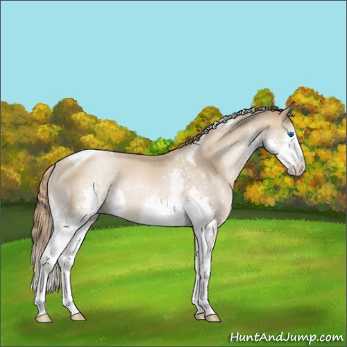 Horse Color:Smoky Black Pearl Splash Tobiano Rabicano 