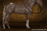 Horse Color:Liver Chestnut Tobiano Rabicano 