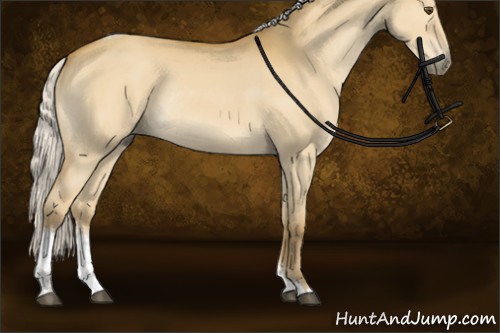 Horse Color:Silver Buckskin Dun Tobiano Rabicano