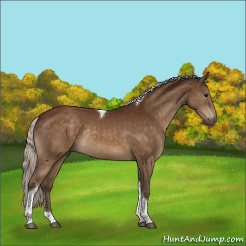 Horse Color:Silver Buckskin Tobiano Rabicano 