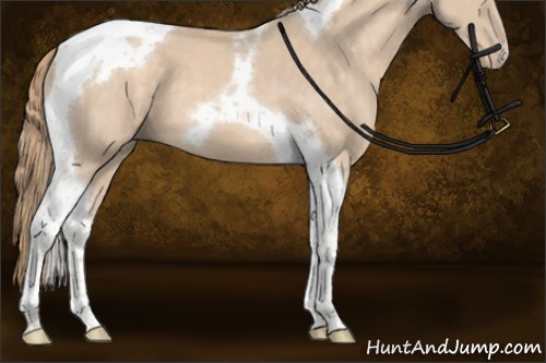 Horse Color:Perlino Tobiano