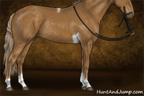 Horse Color:Chocolate Palomino Sabino Tobiano Rabicano