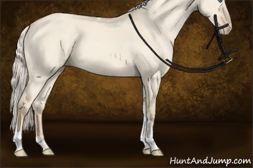 Horse Color:Cremello Dun Sabino Tobiano 