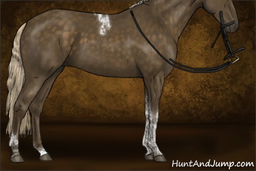 Horse Color:Chocolate Palomino Tobiano Rabicano 