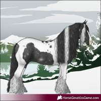 Horse Color:Black Tobiano 