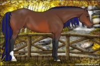 Horse Color:Painted Bay 
