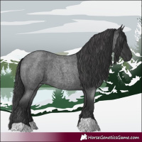 Horse Color:Blue Roan 