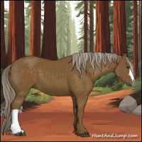 Horse Color:Chocolate Palomino 