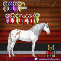 Horse Color:Gray Silver Amber Champagne Sabino Appaloosa Rabicano 