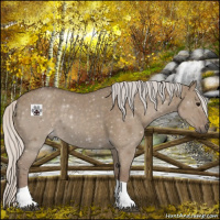 Horse Color:Silver Grullo Tobiano 