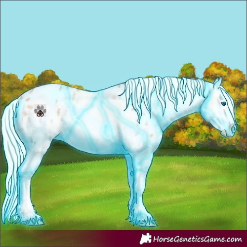Horse Color:Thunderstruck White Spotted Silver Sable Champagne Splash Appaloosa 