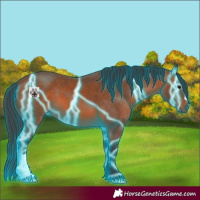 Horse Color:Thunderstruck Bay 