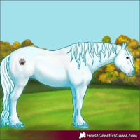 Horse Color:Gray Nacre Thunderstruck Silver Bay Dun