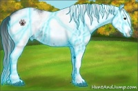 Horse Color:Thunderstruck White Spotted Black Splash 