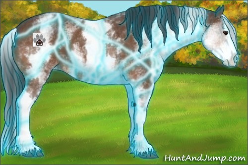 Horse Color:Thunderstruck White Spotted Bay Splash Varnish