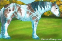 Horse Color:Thunderstruck White Spotted Bay Splash Varnish 