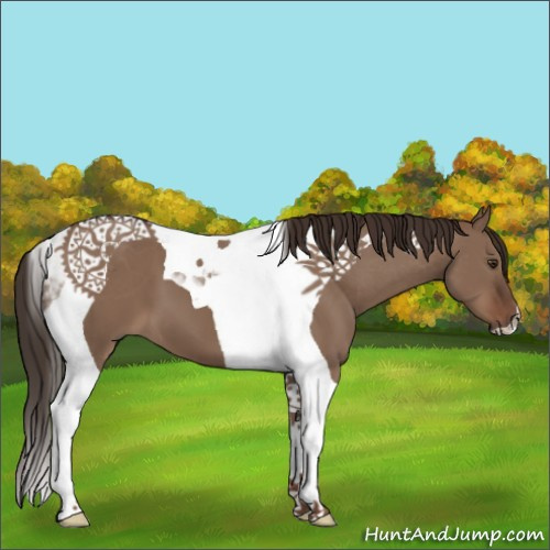 Horse Color:Liver Red Dun Tobiano 