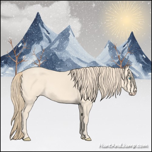 Horse Color:Perlino 