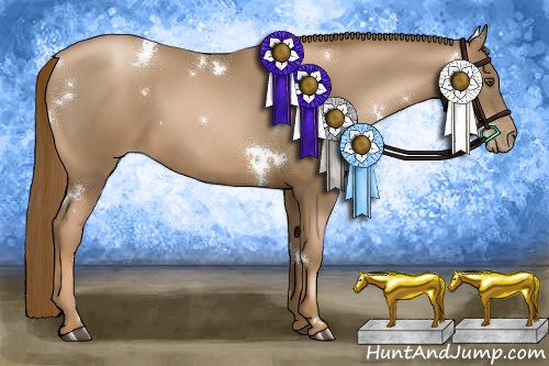 Horse Color:White Spotted Liver Chestnut Pearl 