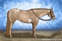 Horse Color:White Spotted Liver Chestnut Pearl 