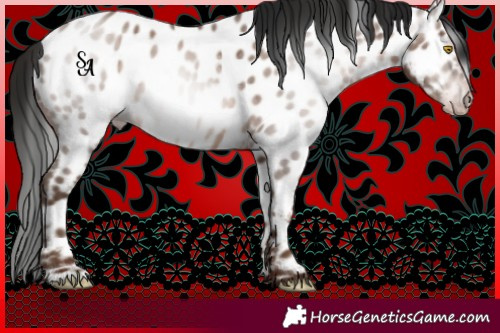 Horse Color:Gray Amber Champagne Roan Near Leopard
