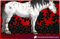 Horse Color:Gray Amber Champagne Roan Near Leopard 