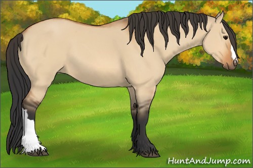 Horse Color:Bay Dun
