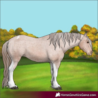 Horse Color:Bay Tobiano Varnish 