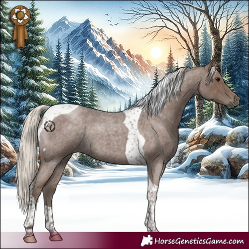Horse Color:Silver Blue Roan Tobiano 