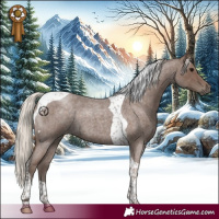 Horse Color:Silver Blue Roan Tobiano 