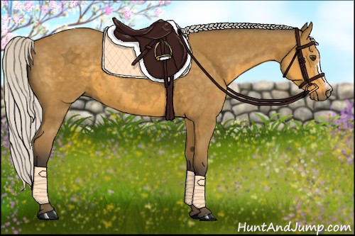 Horse Color:Silver Buckskin 