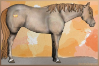 Horse Color:Red Roan Pearl Sabino 