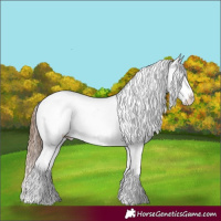 Horse Color:Liver Chestnut Pearl Varnish Rabicano 