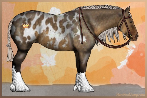 Horse Color:Silver Smoky Grullo Sabino Appaloosa 