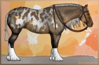 Horse Color:Silver Smoky Grullo Sabino Appaloosa 
