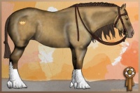 Horse Color:Classic Cream Champagne Dun Sabino 