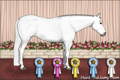 Horse Color:Gray Brown Dun Sabino Rabicano