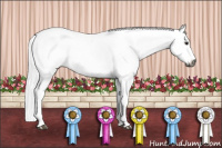 Horse Color:Gray Brown Dun Sabino Rabicano 