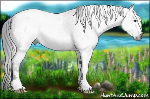 Horse Color:Gray Black Tobiano 